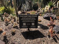 Huntington Library Desert Garden Plant Theft Prevention Sign