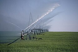 The Green Revolution of the 20th century relied on hybridization to create high-yielding varieties, along with increased reliance on inputs of fertilizers, pesticides, and irrigation.[63]