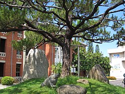 Campus of University of Tainan