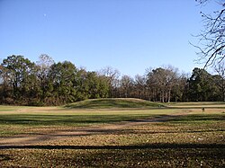 A mound amidst a field of short grass, fallen leaves and a trail