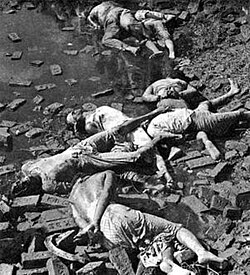 Rayerbazar killing field photographed immediately after the war, showing dead bodies of intellectuals (image courtesy: Rashid Talukder, 1971)