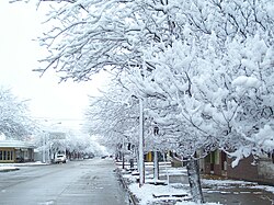 Snowfall in La Carlota south of the Province of Córdoba.