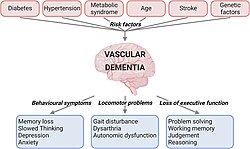 Risk factors and signs and symptoms of vascular dementia