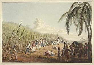 Slaves cutting the sugar cane, British colony of Antigua, 1823