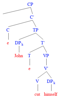 Example reflexive structure. Since "himself" is immediately dominated by "John", Principle A is satisfied.