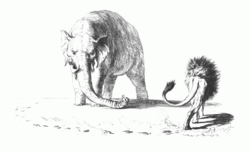 The Austro-Prussian rivalry illustrated as the Austrian elephant vs the Prussian lion