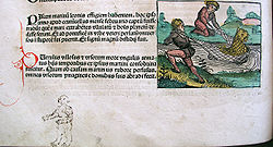 Catching a "lion fish" – a small illustration from a Latin copy. The red capital is done in pen and ink, and the doodle in the margin below.