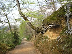 The footpath west from the Château de Pau