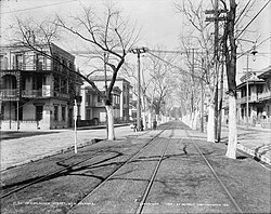 Esplanade Avenue at Burgundy Street, looking lakewards (north) towards Lake Pontchartrain in 1900