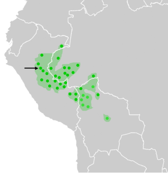 Distribution of the Shipibo-Conibo (marked with an arrow) amongst other Pano-speaking ethnicities (shown in dark green)