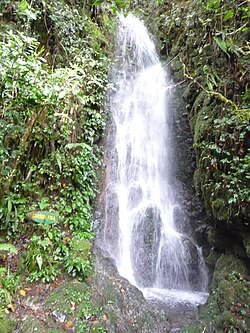 The Carson Fall in Mount Kinabalu, Malaysia is an example of undisturbed natural resources. Waterfalls provide spring water for humans, animals and plants for survival and habitat for marine organisms. The water current can be used to turn turbines for hydroelectric generation.