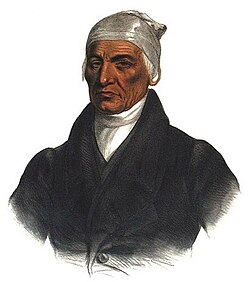 Black Hoof, leader of the Shawnee, accepted Jefferson's Indian assimilation policies.