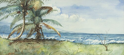 'Jamaican Shoreline' (1911)