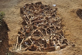 A mass grave of Spanish republicans near Estépar in northern Spain. The excavation took place in July–August 2014.