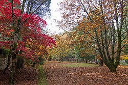 Mount Wilson in the Blue Mountains during autumn