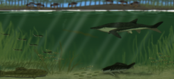 A reconstruction of several fish in one of the lakes that made up what is now the Yixian Formation