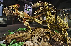 Feathered model adjacent to an earlier, featherless model from the Westphalian Museum of Natural History