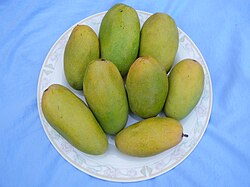 Lucknow is known for its Dasheri mangoes, which are exported to many countries.