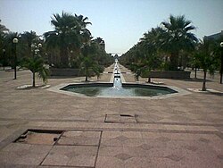 University yard