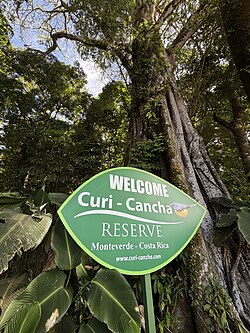 This picture shows the welcome sign at Curi-Cancha Wildlife Reserve in Monteverde, Costa Rica. It says "Welcome to Curi-Cancha Reserve, Monteverde-Costa Rica www.curi-cancha.com. In the background is a large strangler fig. The sign is bright green and shaped like a leaf. There is also a small painting of a pretty songbird.