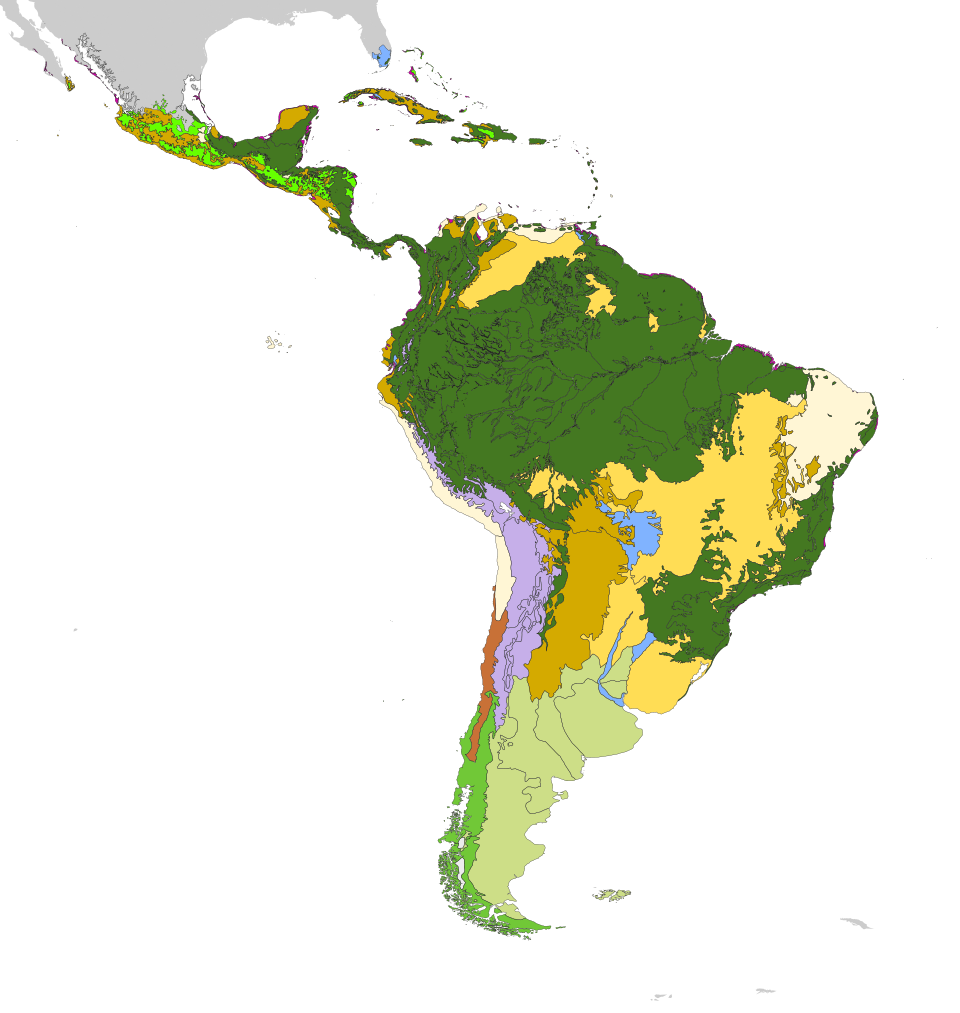 The outlined ecoregions of the Neotropical realm, each of a colored biome. Note that this realm has 11 of 14 biomes, or major habitat types, as defined by Olson & Dinerstein, et al. (2001).[1] The biomes not present are temperate coniferous forests, taiga and boreal forest, and tundra. Rock and Ice, or Abiotic Land Zones