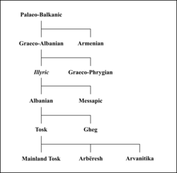 Classification of Albanian in the Paleo-Balkanic branch as suggested by Brian D. Joseph and Adam Hyllested in "The Indo-European Language Family" (2022)