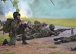 Royal Thai Marines during an amphibious assault as part of CARAT 2011