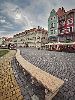 Timișoara National Museum of Art and the Brück House, shown together
