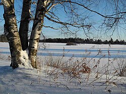 Seney National Wildlife Refuge.