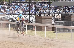 Horse racing held at Third Month Fair in Yunnan, 2024