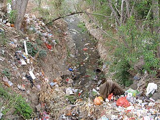 Creek contaminated with water pollution