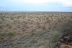 Present-day elevated view of the open ground over which the British advanced