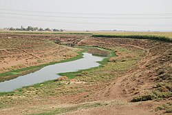 Thin stream of water surrounded by greenery and banks, above which is desert