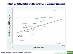 Infant mortality rates are higher in countries with higher economic inequality.