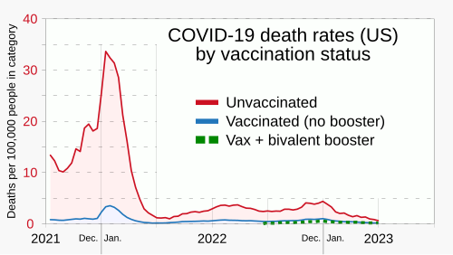 Death rates from COVID-19 for unvaccinated Americans substantially exceeded those who were vaccinated, with bivalent boosters further reducing the death rate.[205]