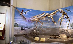 Theropod dinosaur Irritator shown feeding on a pterosaur