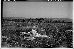 Umm el-Umdan, 1926
