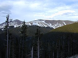 In this view of an alpine tree line, the distant line looks particularly sharp. The foreground shows the transition from trees to no trees. These trees are stunted in growth and one-sided because of cold and constant wind.