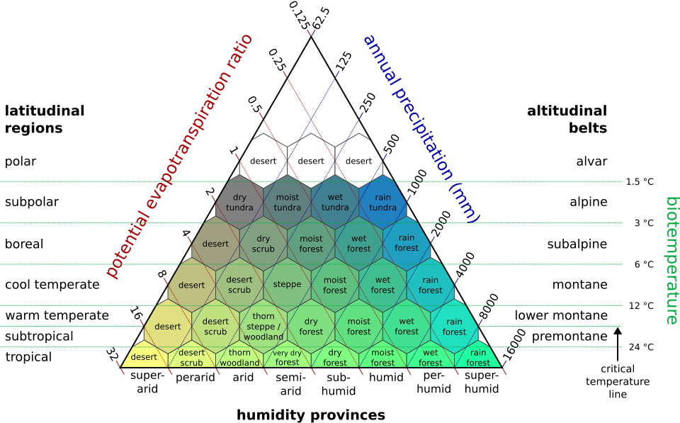 Holdridge life zone classification scheme. Although conceived as three-dimensional by its originator, it is usually shown as a two-dimensional array of hexagons in a triangular frame.