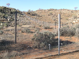 Overgrazed area in western New South Wales (Australia), by loss of native flora, in the upper right corner