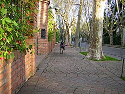 Dog walking on vintage stone paths with brick walls in linden tree-lined neighborhood of Béccar