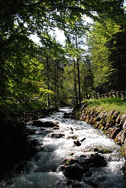 Rocky stream in Italy