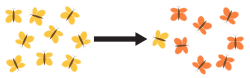 Two populations with individuals moving between the populations to demonstrate gene flow