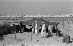 A group of Bedouins with their tent in Libya, 1950s