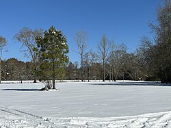 Snowfall in Century, Florida, on January 22