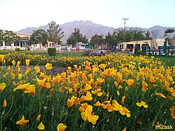Barki Park