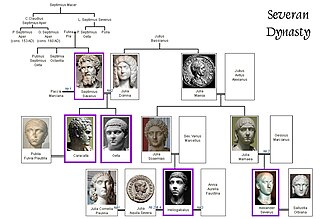 The Severan dynasty family tree