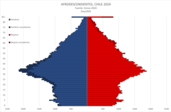 Afrodescendants' pyramid population of Chile, 2024