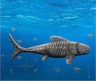 Amazichthys, a pelagic arthrodire from the Middle Famennian of the Late Devonian.
