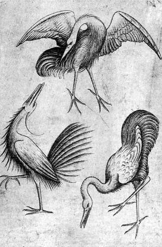 The 3 of Birds from the playing cards, a "single-plate card"